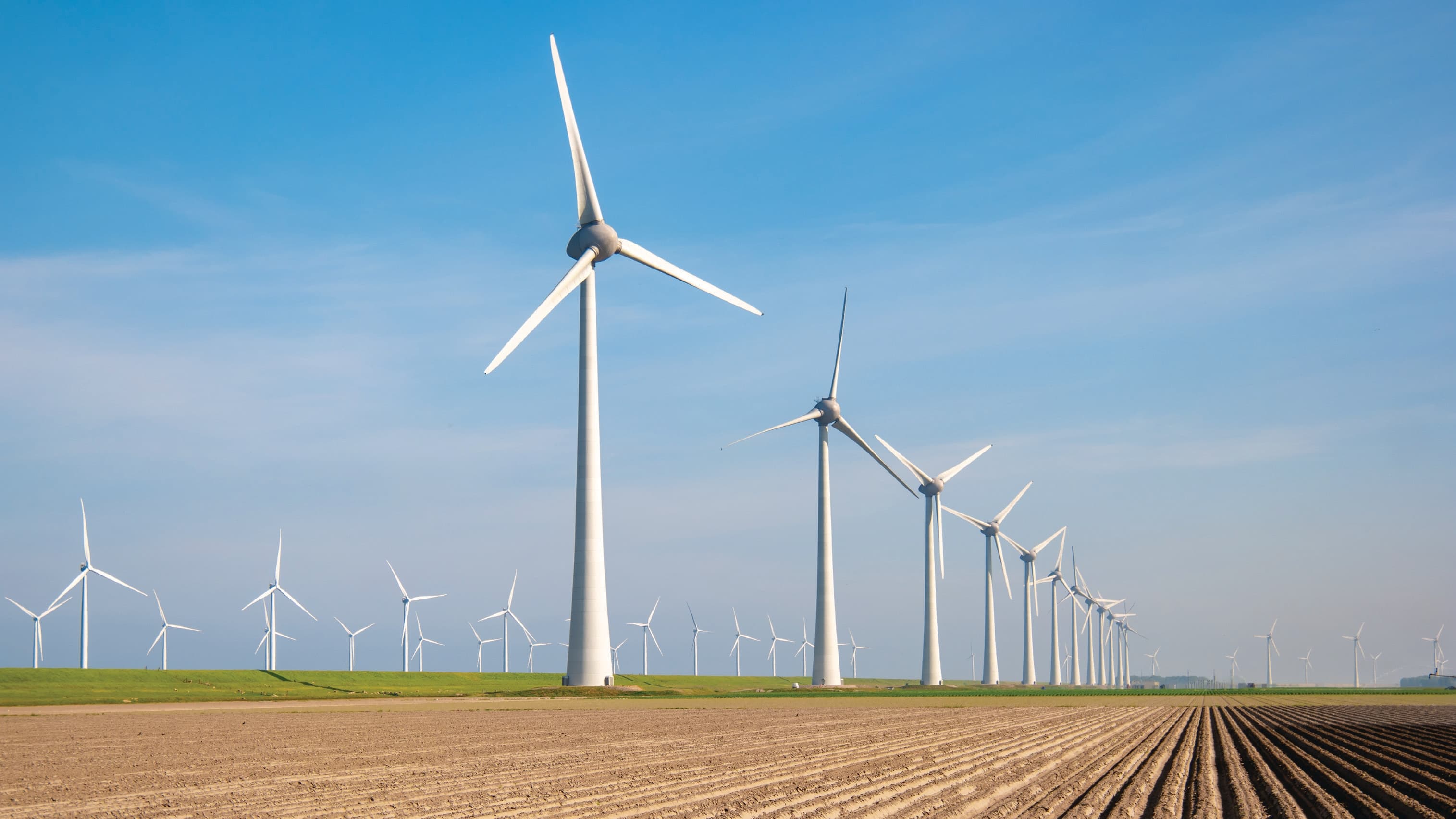 Renewable Energy